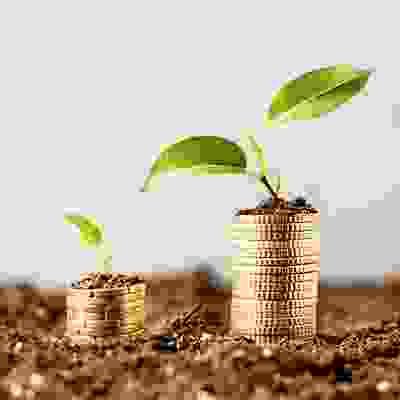 stacks of coins with plants growing
